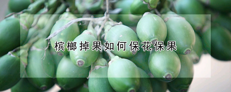 檳榔掉果如何?；ū９?></a></div>
                    </div>
                    <h3><a href=