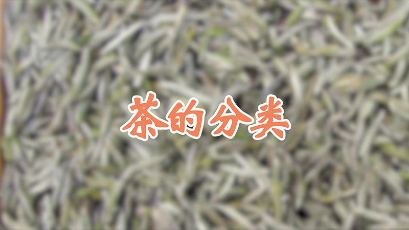 茶的分類