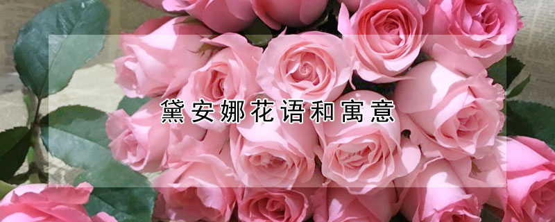 黛安娜花語(yǔ)和寓意