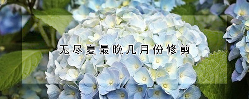 無(wú)盡夏最晚幾月份修剪