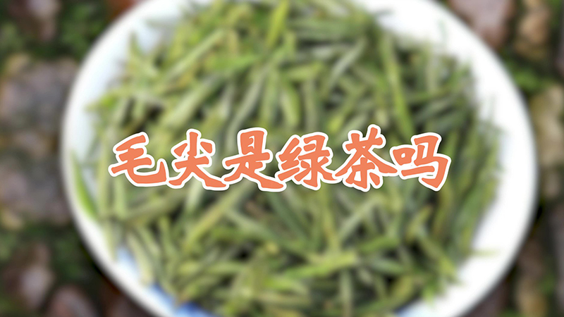 毛尖是綠茶嗎