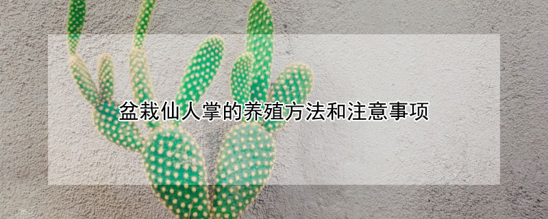 盆栽仙人掌的養(yǎng)殖方法和注意事項