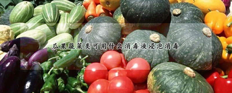 瓜果蔬菜類可用什么消毒液浸泡消毒