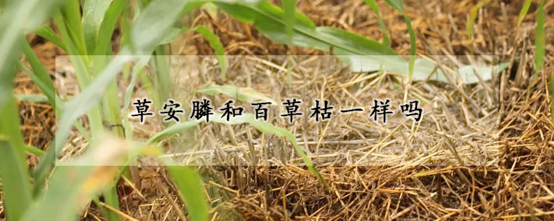 草安膦和百草枯一樣嗎