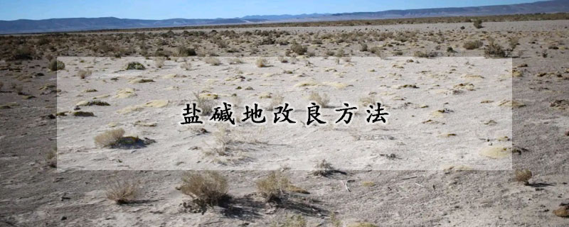 鹽堿地改良方法