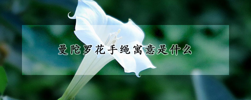 曼陀羅花手繩寓意是什么