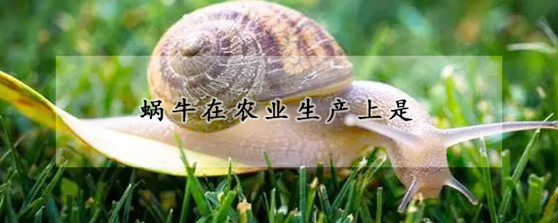 蝸牛在農業生產上是