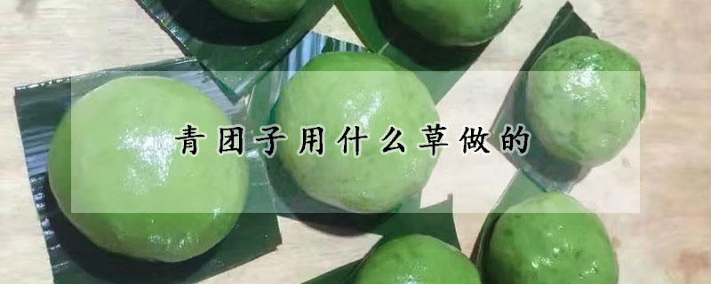 青團(tuán)子用什么草做的