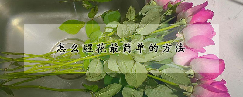 怎么醒花最簡單的方法