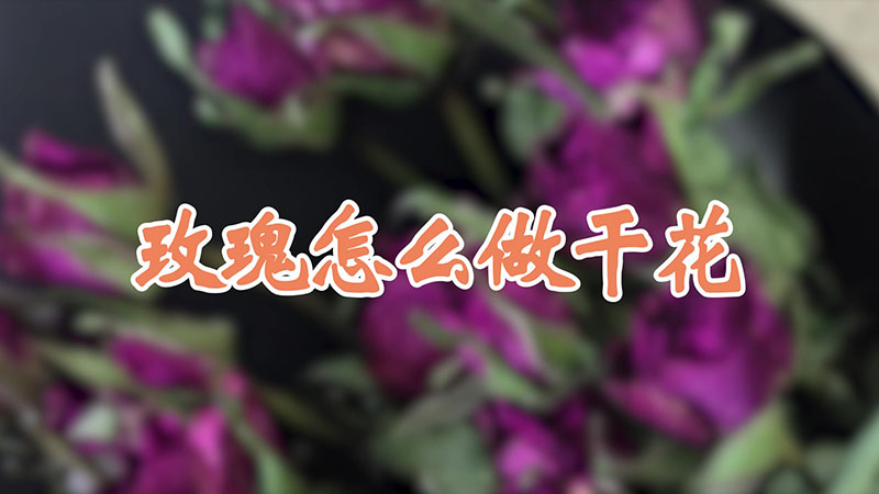 玫瑰怎么做干花