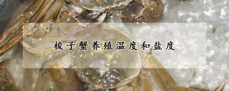 梭子蟹養(yǎng)殖溫度和鹽度