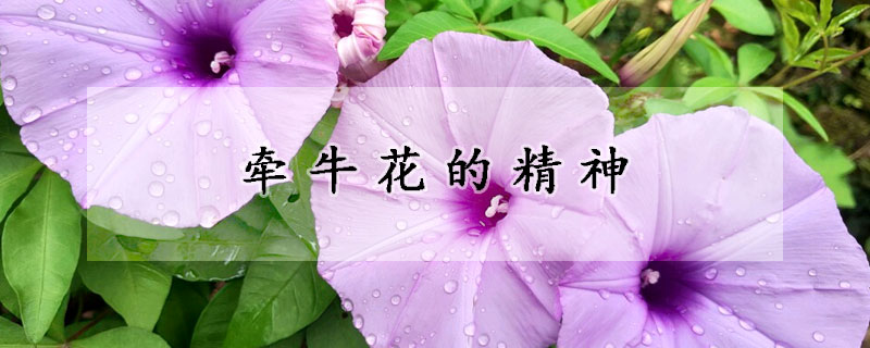 牽?；ǖ木?></a></div>
                    </div>
                    <h3><a href=