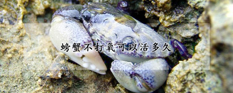 螃蟹不打氧可以活多久