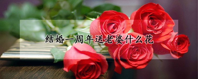 結(jié)婚一周年送老婆什么花