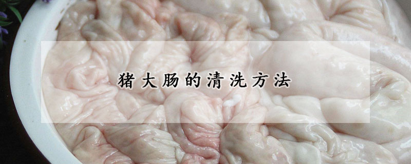 豬大腸的清洗方法