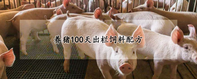 養(yǎng)豬100天出欄飼料配方