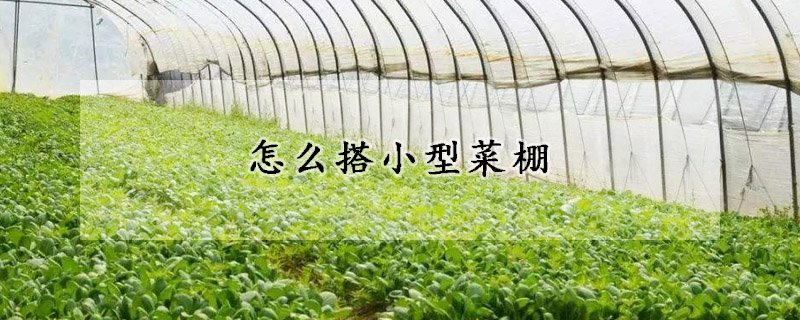 怎么搭小型菜棚