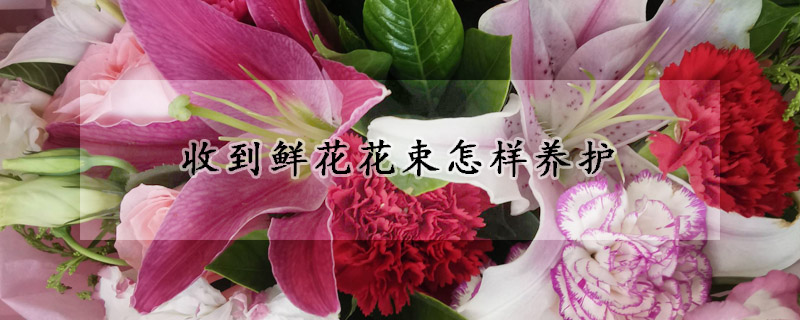 收到鮮花花束怎樣養(yǎng)護