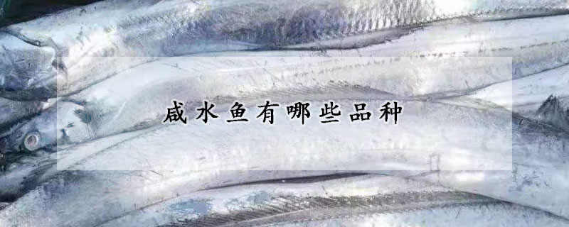 咸水魚有哪些品種