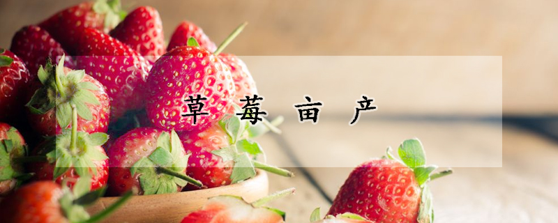 草莓畝產(chǎn)