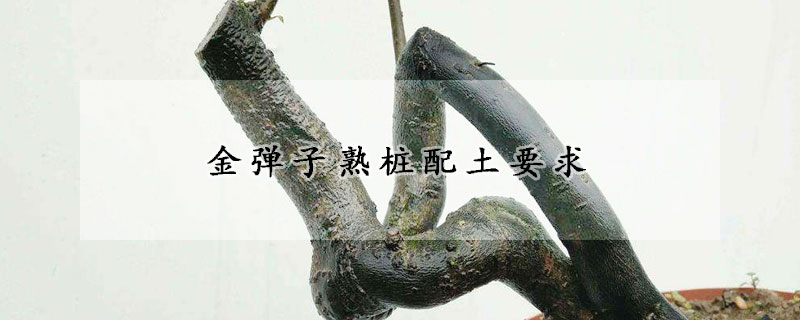 金彈子熟樁配土要求