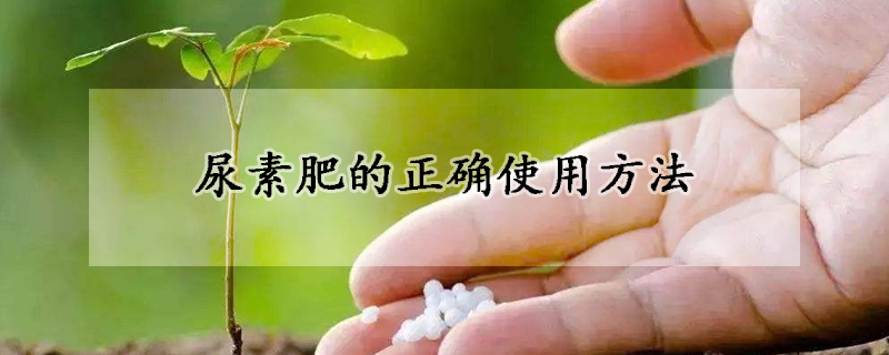 尿素肥的正確使用方法