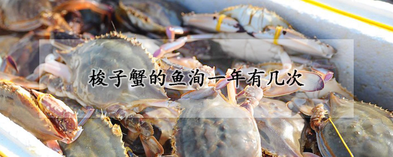 梭子蟹的魚洵一年有幾次