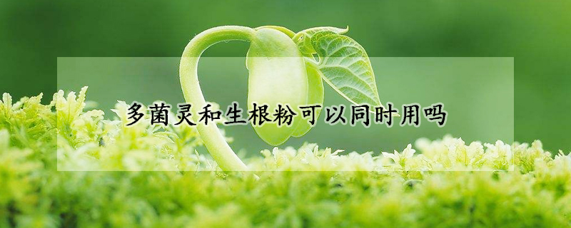 多菌靈和生根粉可以同時用嗎