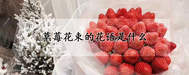 草莓花束的花語是什么