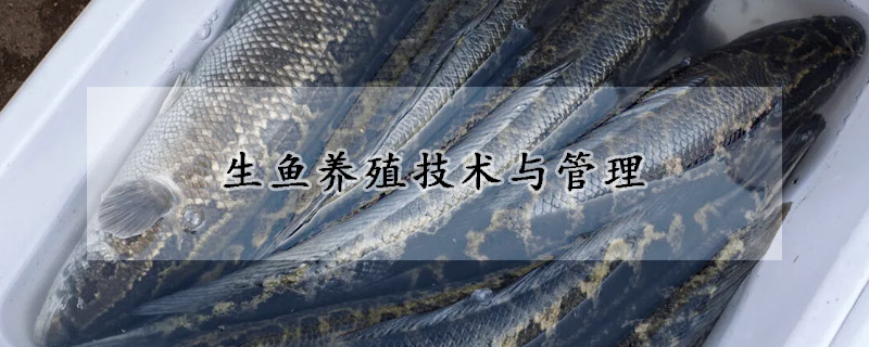 生魚養殖技術與管理