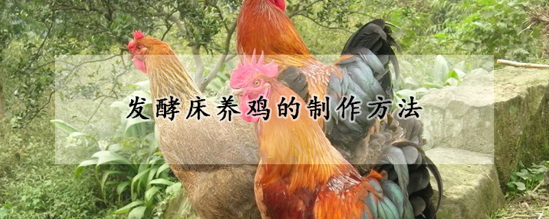 發(fā)酵床養(yǎng)雞的制作方法