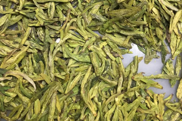 新昌西湖龍井是綠茶嗎 新昌西湖龍井屬于哪種茶葉