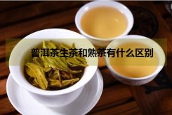 普洱的生茶和熟茶有什么區別