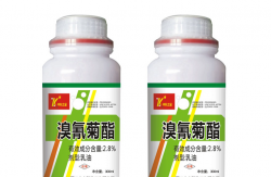 <strong>溴氰菊酯可以消滅蟑螂嗎，使用過(guò)程中需要注意什么?</strong>