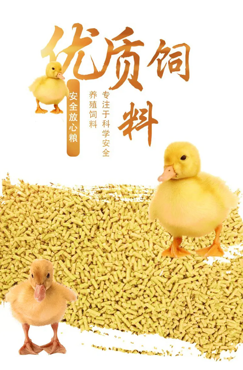 <b>家禽養(yǎng)殖飼料健康配比和營養(yǎng)調(diào)控方案分享</b>