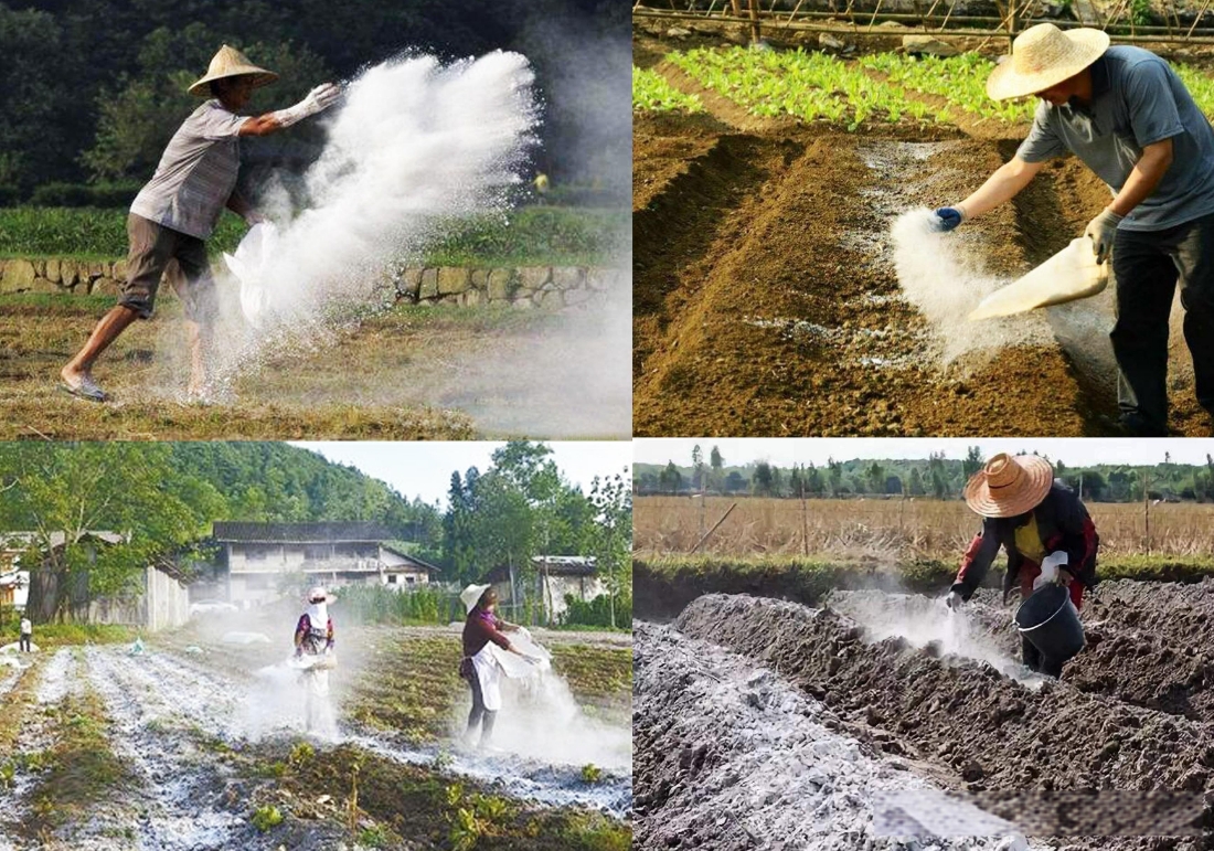 揭秘石灰乳劑在農(nóng)業(yè)種植中的神奇作用：調(diào)節(jié)土壤酸堿、防治病蟲、增產(chǎn)提質(zhì)