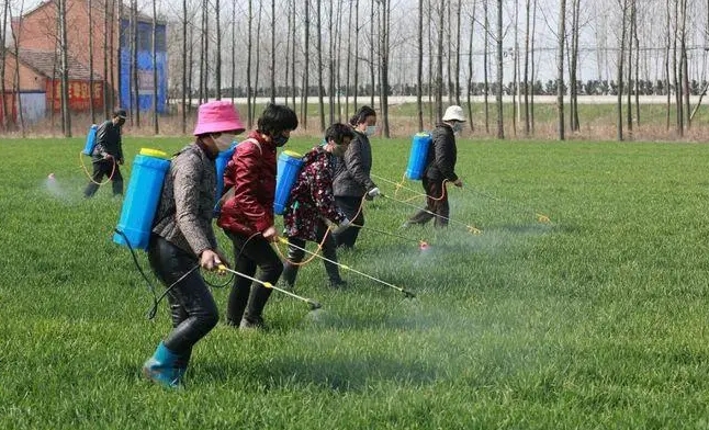 作物豐收的關(guān)鍵一步！揭秘除草打藥最佳時間，讓農(nóng)田管理事半功倍！