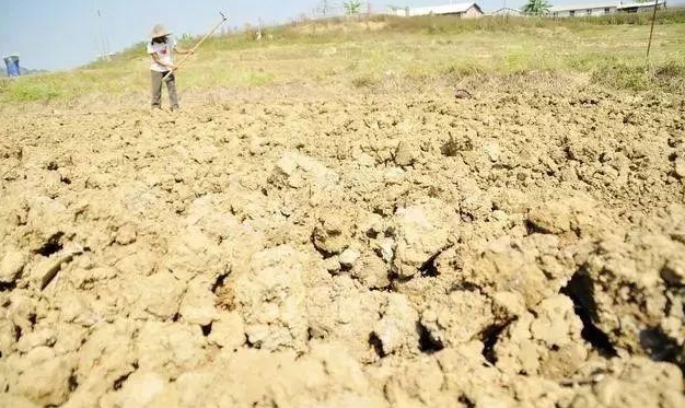 種植土壤惡化危機，減少化肥依賴，守護土壤生命力