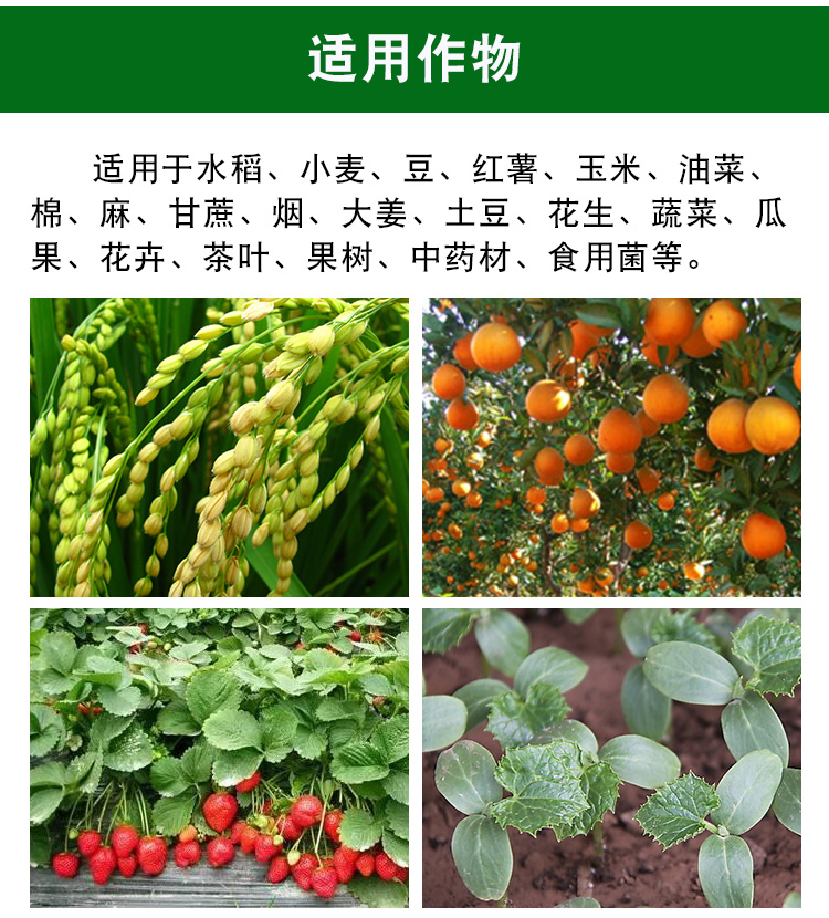 植物調節劑是激素還是肥料？超越激素與肥料的新科技。