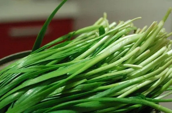 韭菜怎么吃最有營養？五種吃法讓營養翻倍