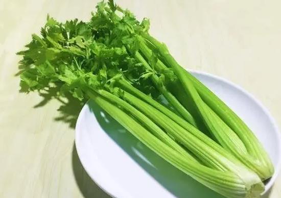 芹菜也有“身材”之分？粗芹菜和細(xì)芹菜有什么區(qū)別