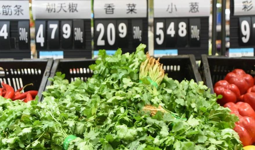 浙江、蘇州香菜批發(fā)2024年10月3日最新價格信息及行情走勢