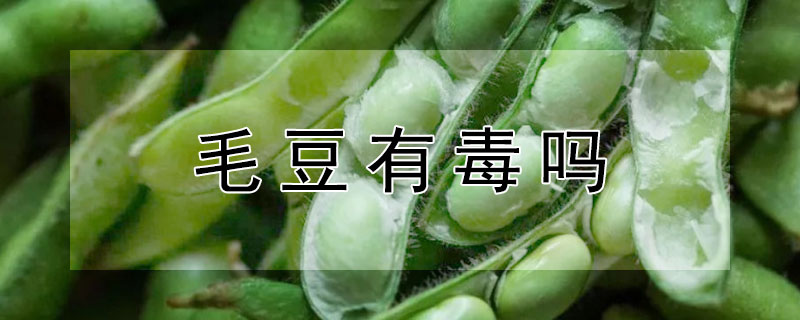 毛豆有毒嗎