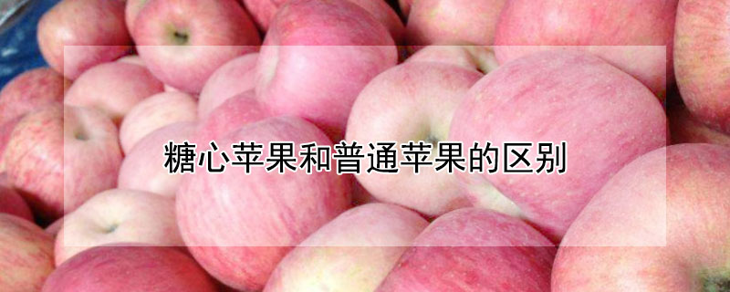 糖心蘋果和普通蘋果的區(qū)別