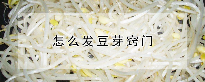 怎么發(fā)豆芽竅門(mén)