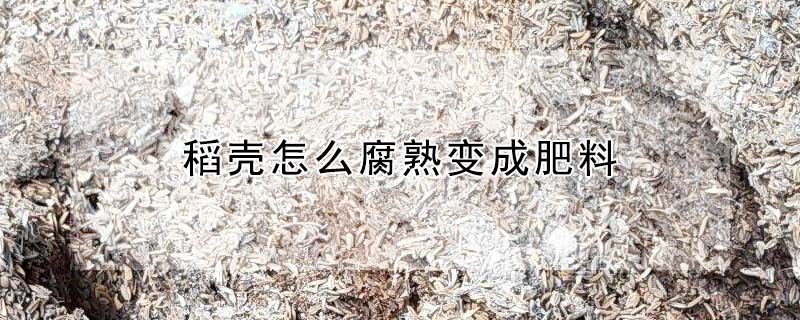 稻殼怎么腐熟變成肥料