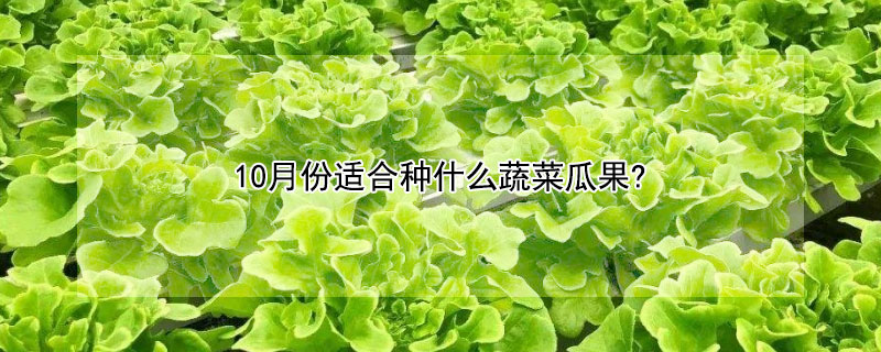 10月份適合種什么蔬菜瓜果?