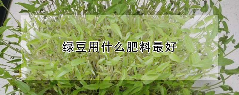 綠豆用什么肥料最好