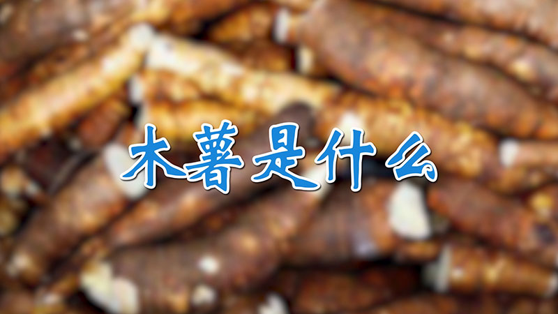 木薯是什么