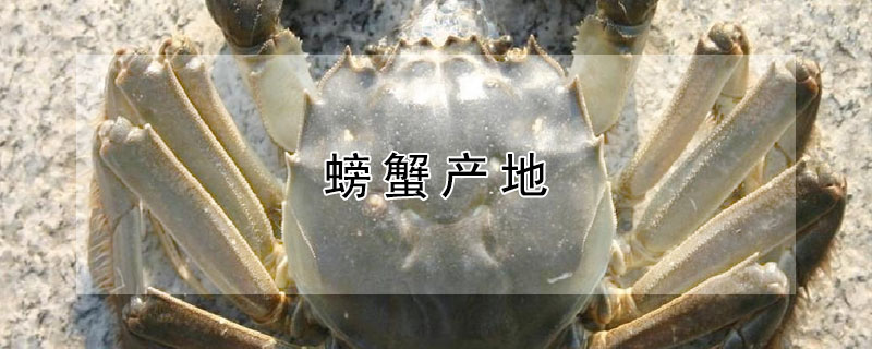 螃蟹產(chǎn)地